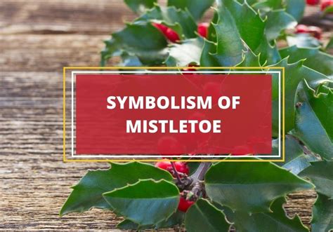 mistletoe meaning